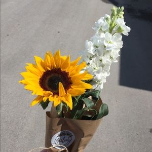 Meet your Posher, Abby